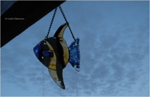 Flying Fish